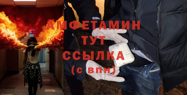 гидра Краснослободск
