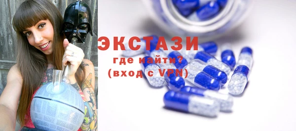 гидра Краснослободск