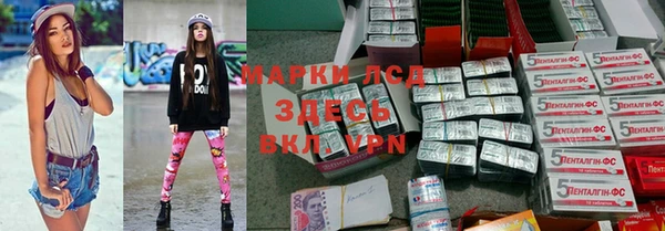 гидра Краснослободск