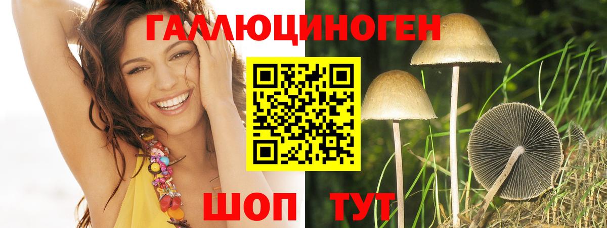 цена   Псилоцибиновые грибы Magic Shrooms  Вход с VPN  Усть-Илимск 