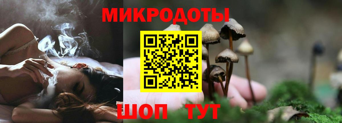 Псилоцибиновые грибы MAGIC MUSHROOMS Усть-Илимск